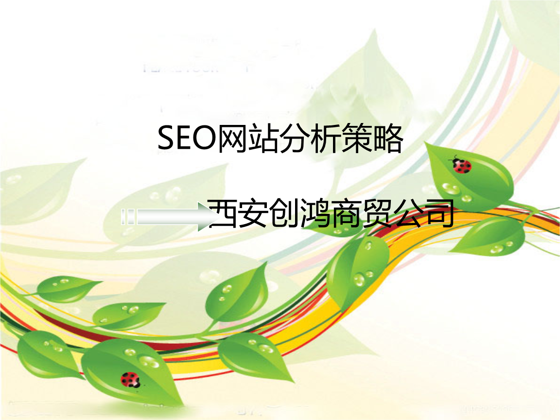 seo的名词解释-seo域名解析问题