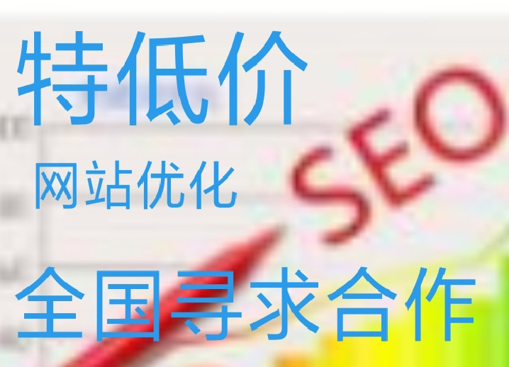 1、搜索引擎优化seo公司：哪家在线seo排名优化推广公司靠谱？ 